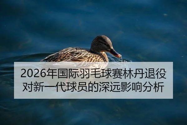 2026年国际羽毛球赛林丹退役对新一代球员的深远影响分析